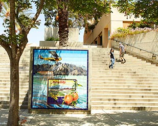 Mosaic at front Lasselle campus entrance