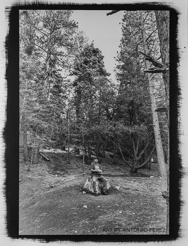 Unión, 2026, by Antonio Perez, a palladium and platinum print showing a person in a forest