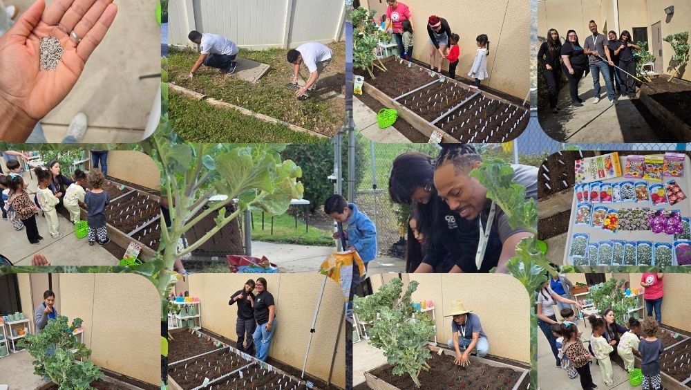 Collage of photos from the garden initiative three-day planting event
