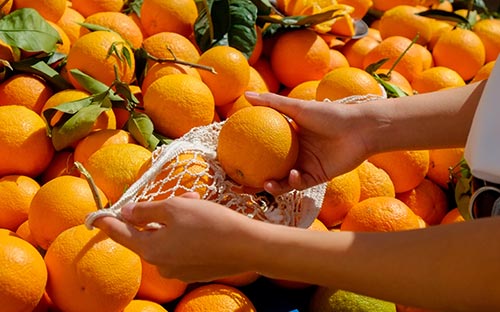 Close up of someone putting oranges into a mesh bag