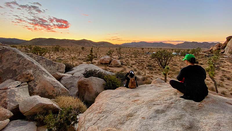 A student sits on a boulder in front of a sunset over Joshua Tree National Park